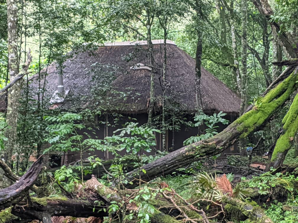 Eco Forest Lodge